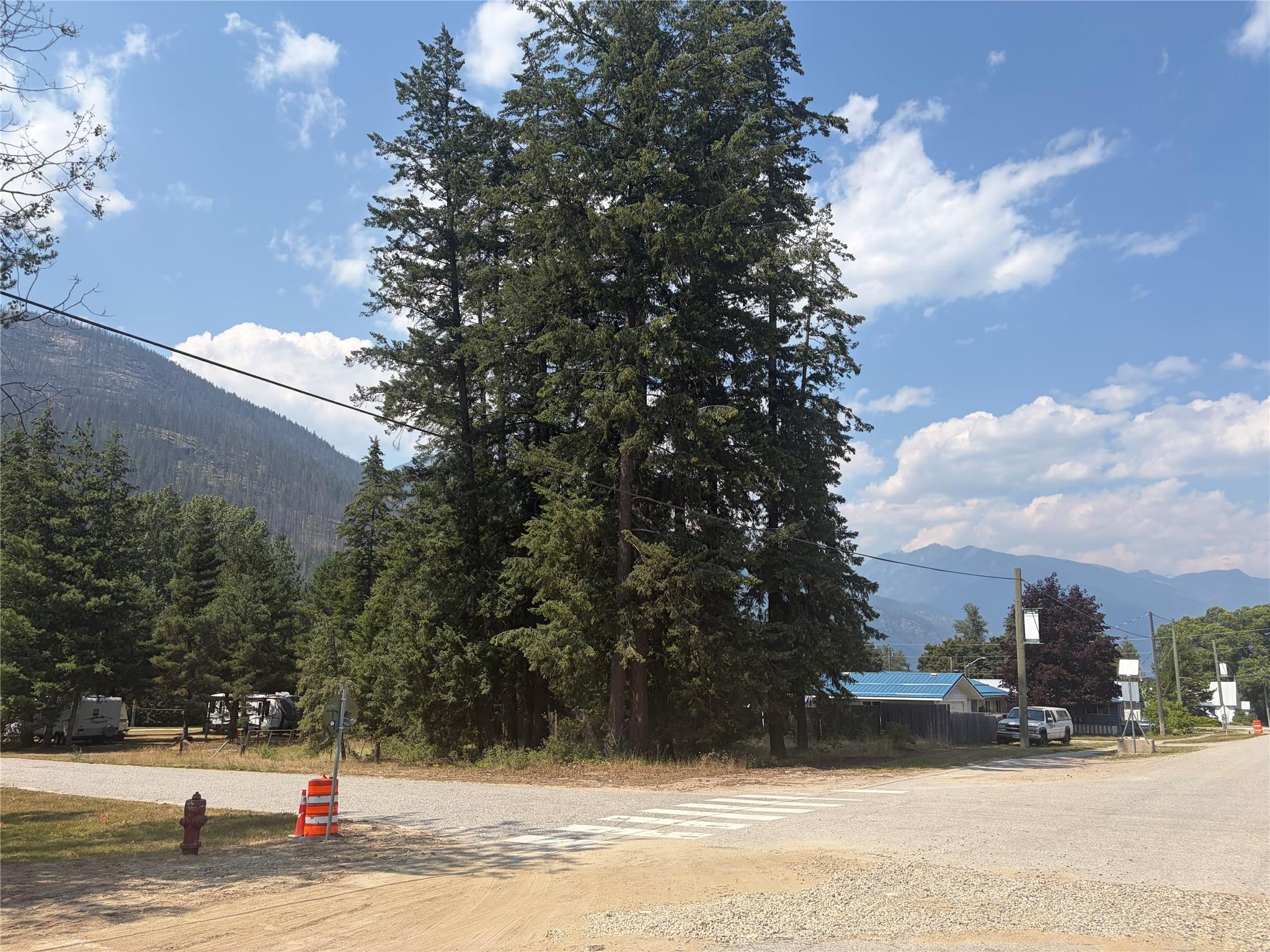 Harold Street, Slocan, BC - Outdoor With View