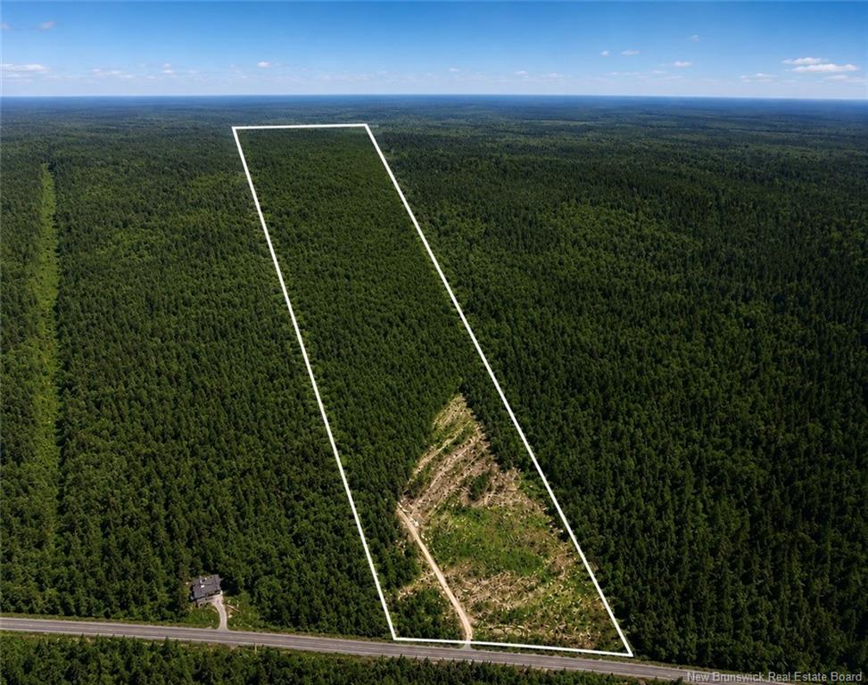 Lot 116 Highway, Harcourt, NB - Outdoor With View