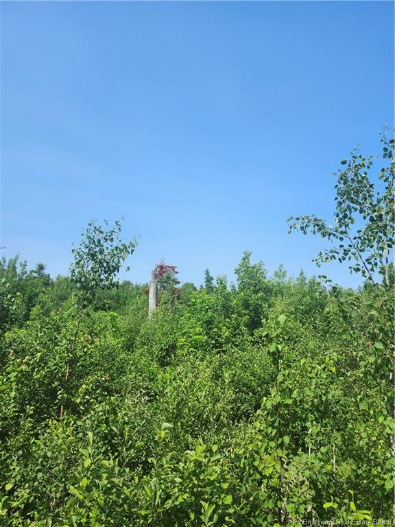 Lot 116 Highway, Harcourt, NB - Outdoor
