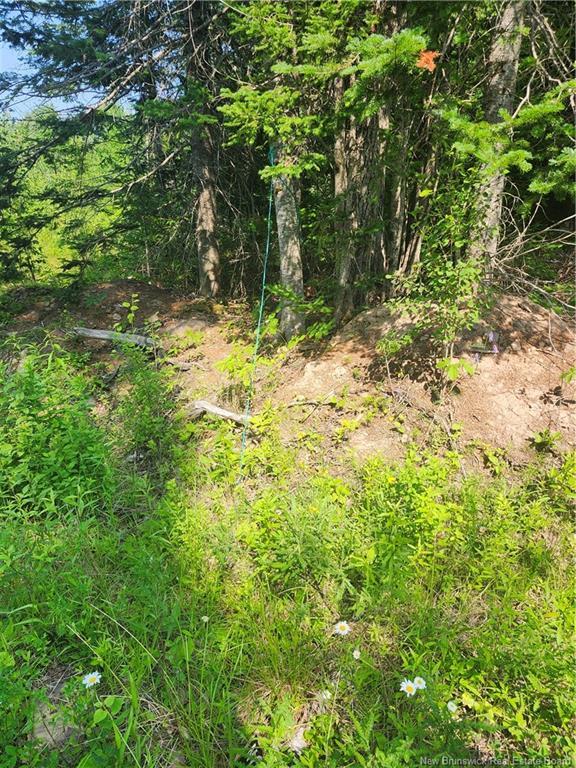 Lot 116 Highway, Harcourt, NB - Outdoor