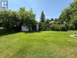 Storage sheds in rear yard for tenants. - 