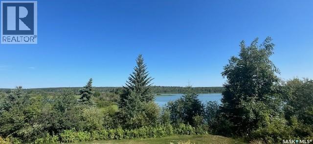 716 Spruce Street, Goodsoil, SK