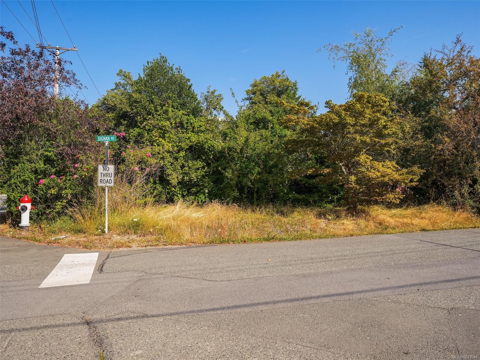 1170 Dignan Rd, Central Saanich, BC