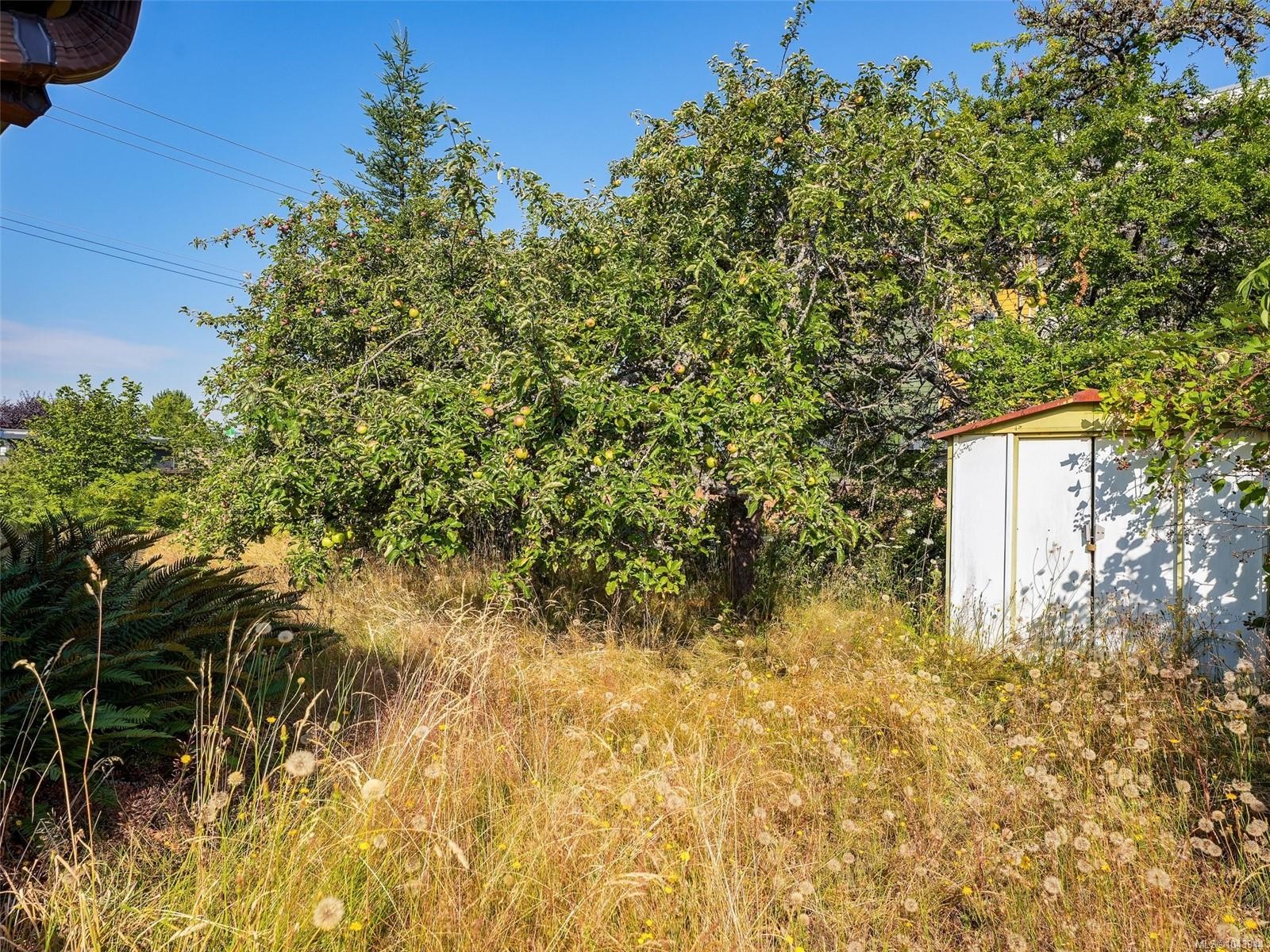 1170 Dignan Rd, Central Saanich, BC