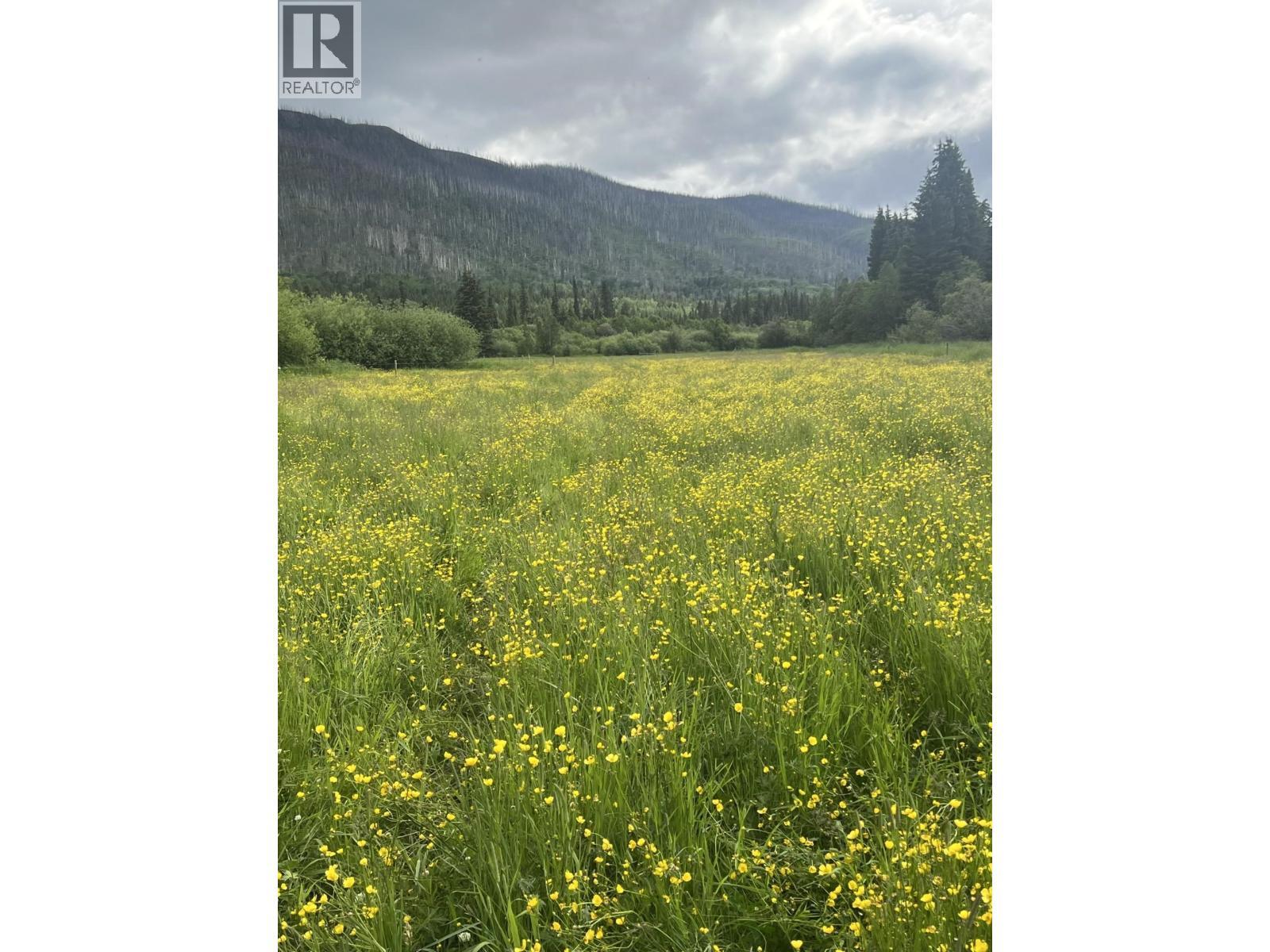 10443 Nithi Pit Road, Fraser Lake, BC - Outdoor With View