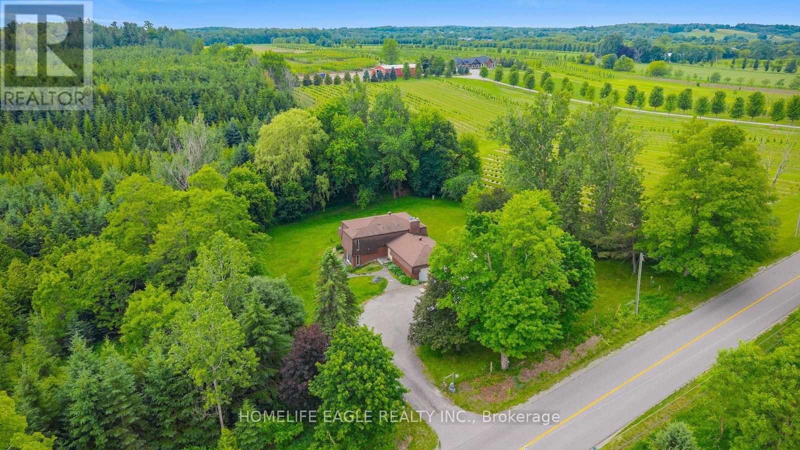 5803 3Rd Line, New Tecumseth, ON - Outdoor With View