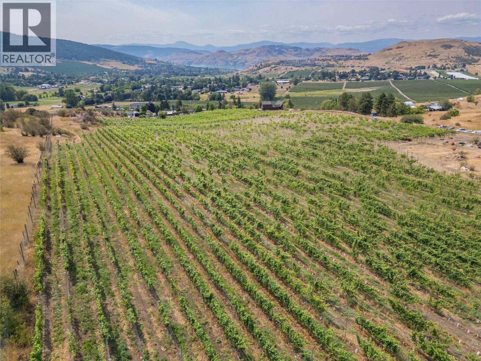 5 acres of Pinot Noir and 4 acres of Pinot Gris - 9269 Highway 6, Coldstream, BC