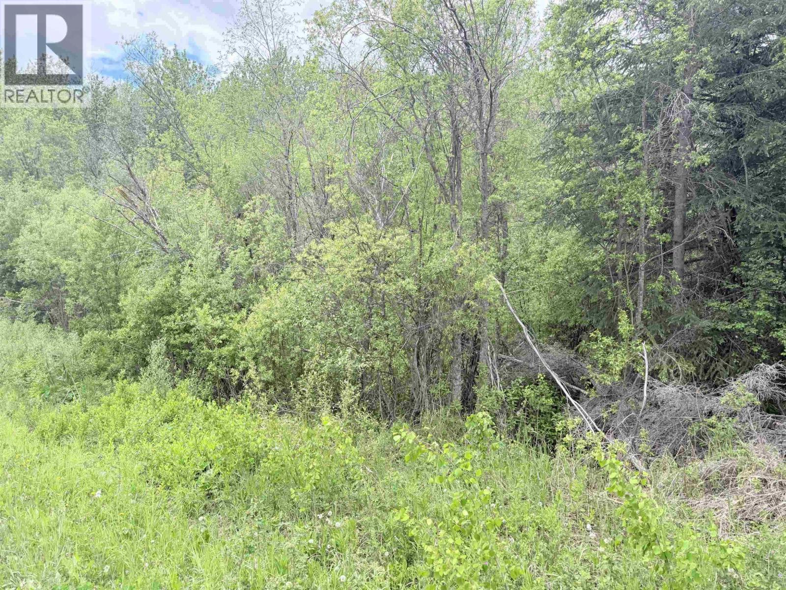 23336 Howells Road, Smithers, BC