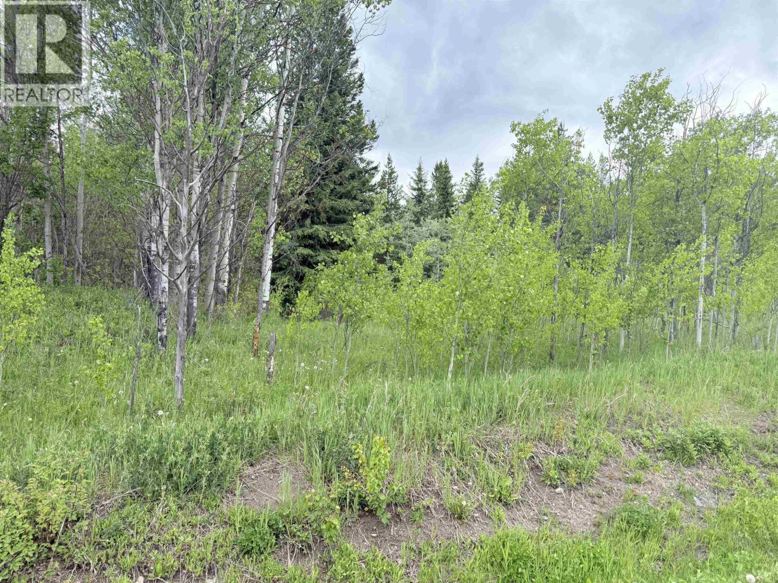 23336 Howells Road, Smithers, BC