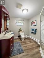 Basement full bathroom with stand up shower -