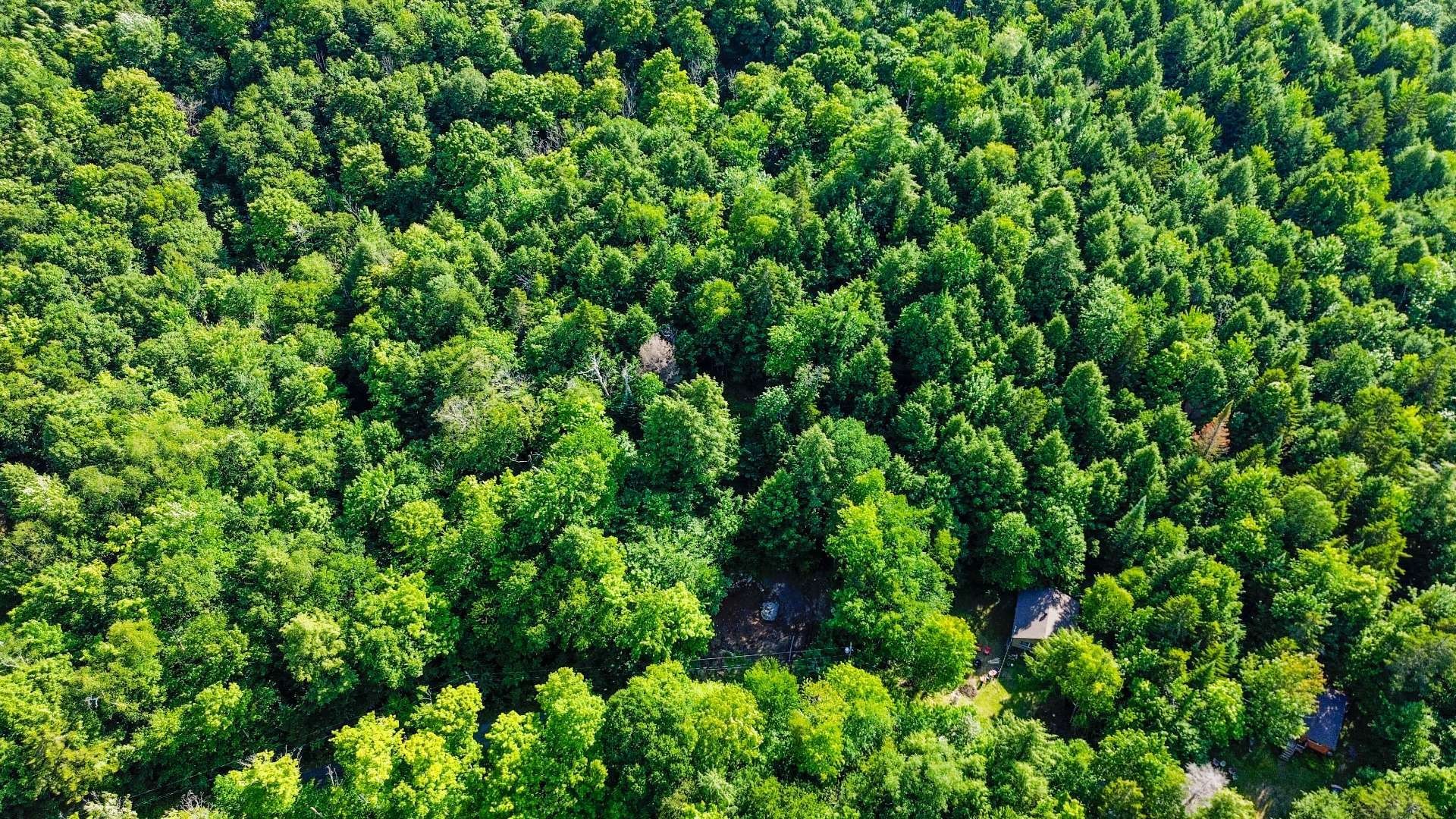 Terre/Terrain - 34 Ch. Des Micmacs, Harrington, QC