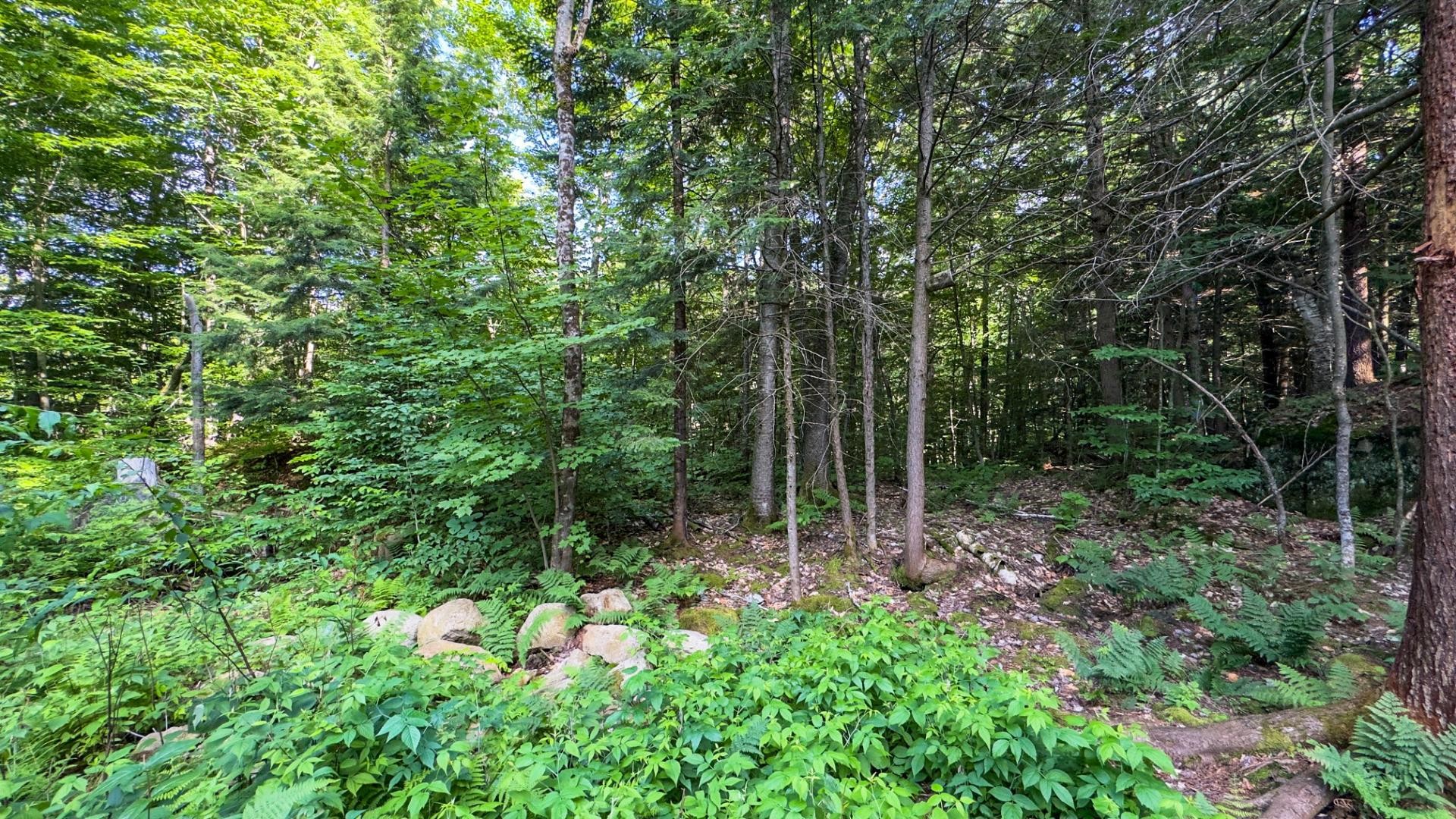 Terre/Terrain - 34 Ch. Des Micmacs, Harrington, QC