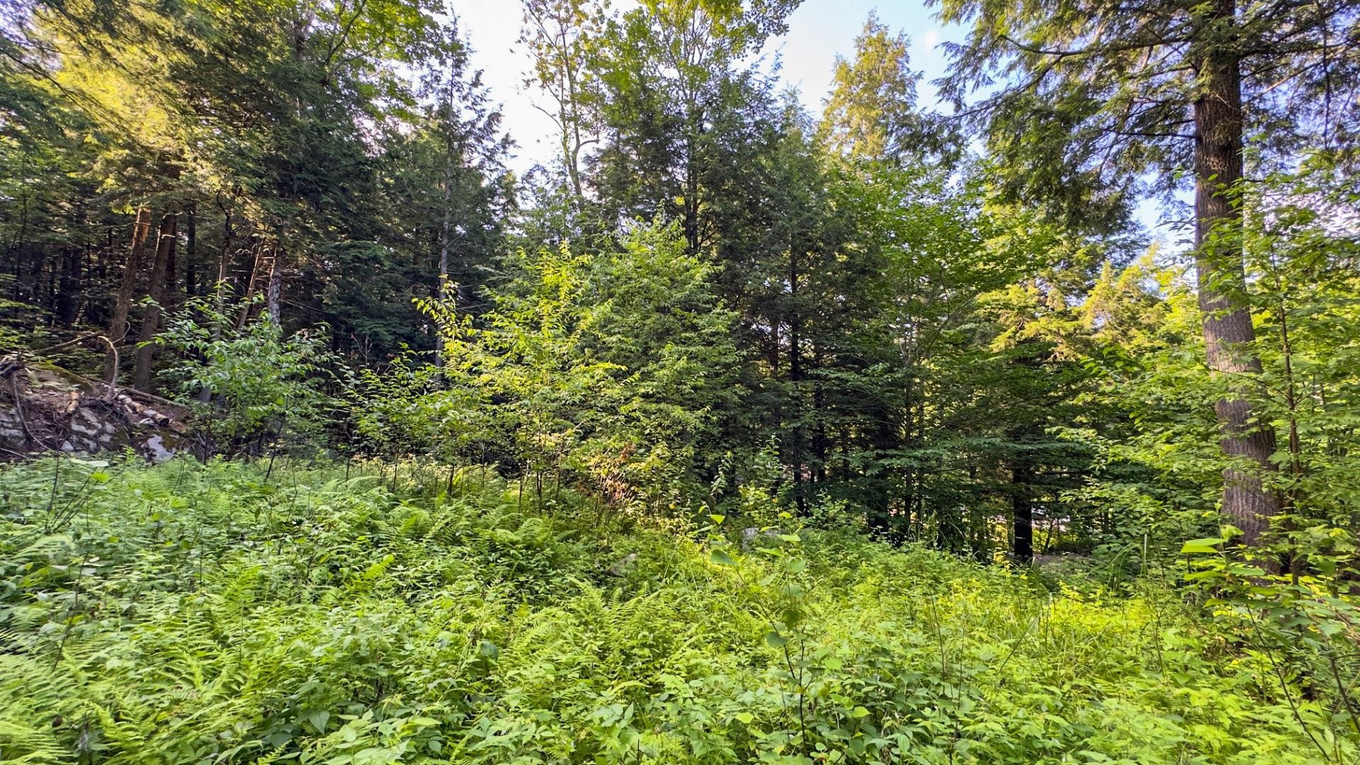 Terre/Terrain - 34 Ch. Des Micmacs, Harrington, QC