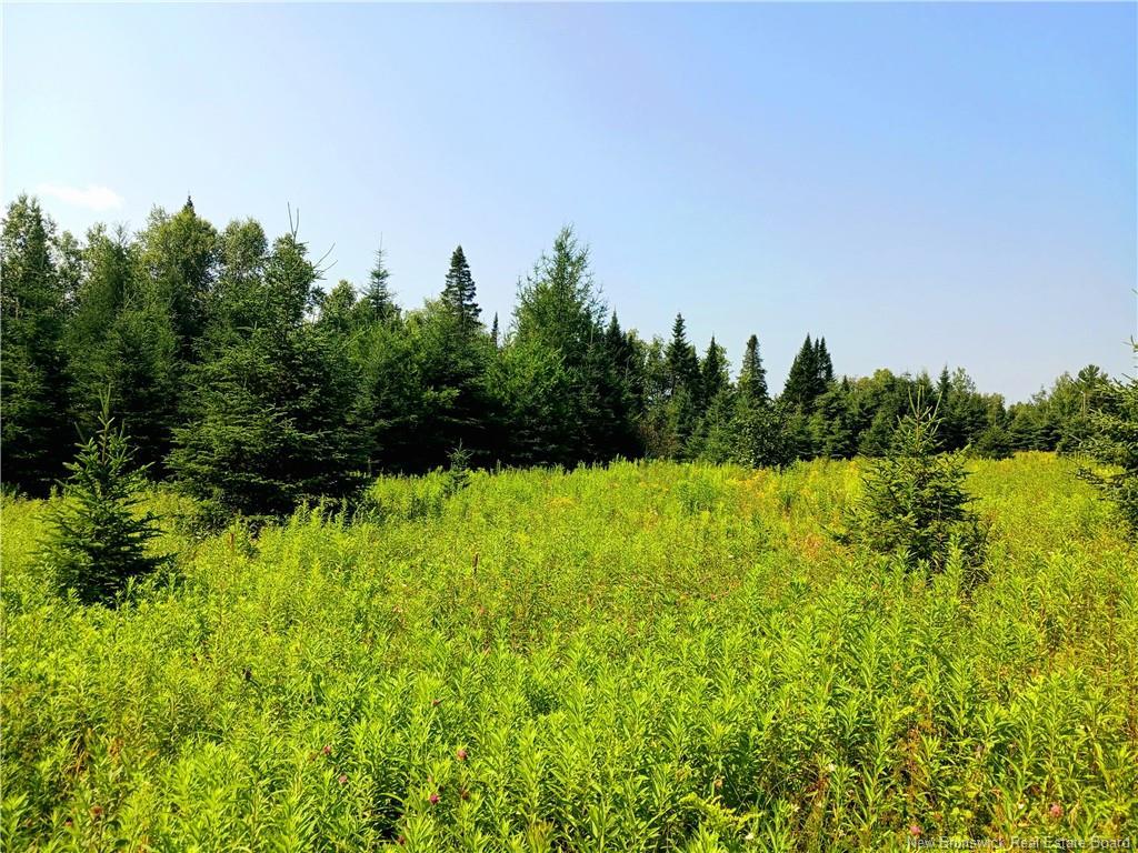1496 Route 390, Gladwyn, NB