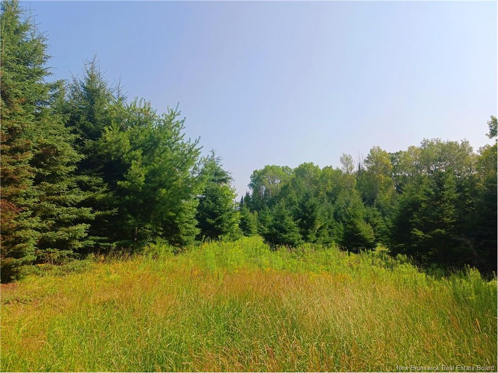 1496 Route 390, Gladwyn, NB