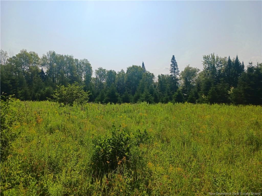 1496 Route 390, Gladwyn, NB