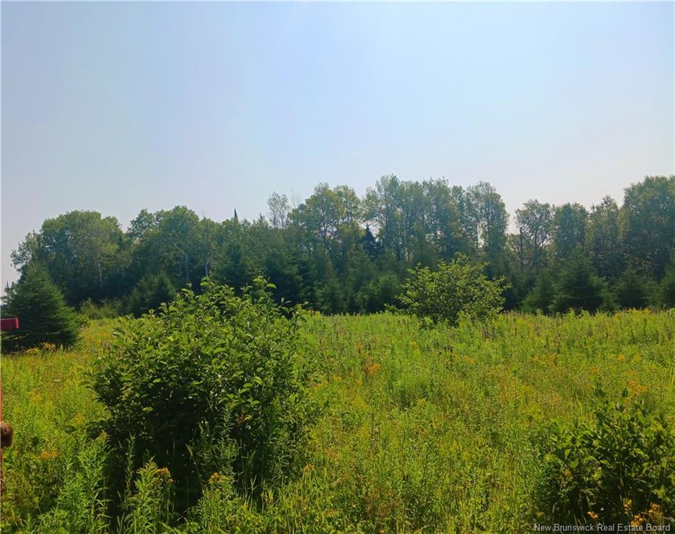 1496 Route 390, Gladwyn, NB