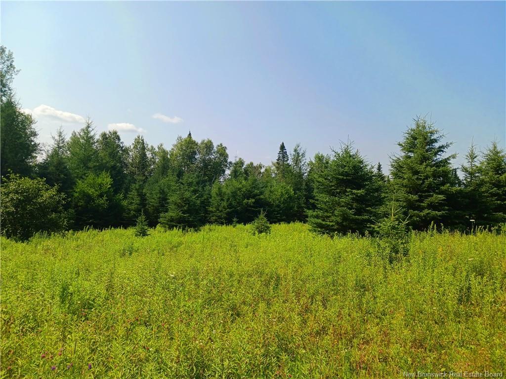 1496 Route 390, Gladwyn, NB