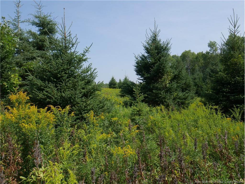 1496 Route 390, Gladwyn, NB