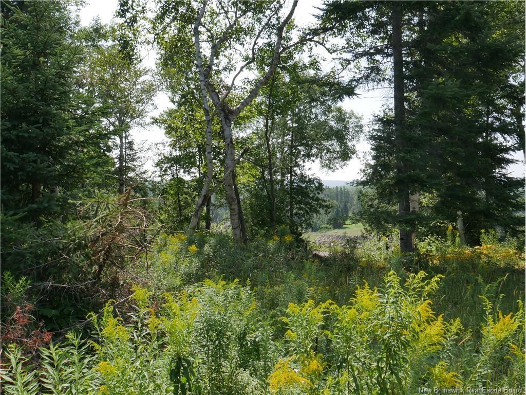 1496 Route 390, Gladwyn, NB