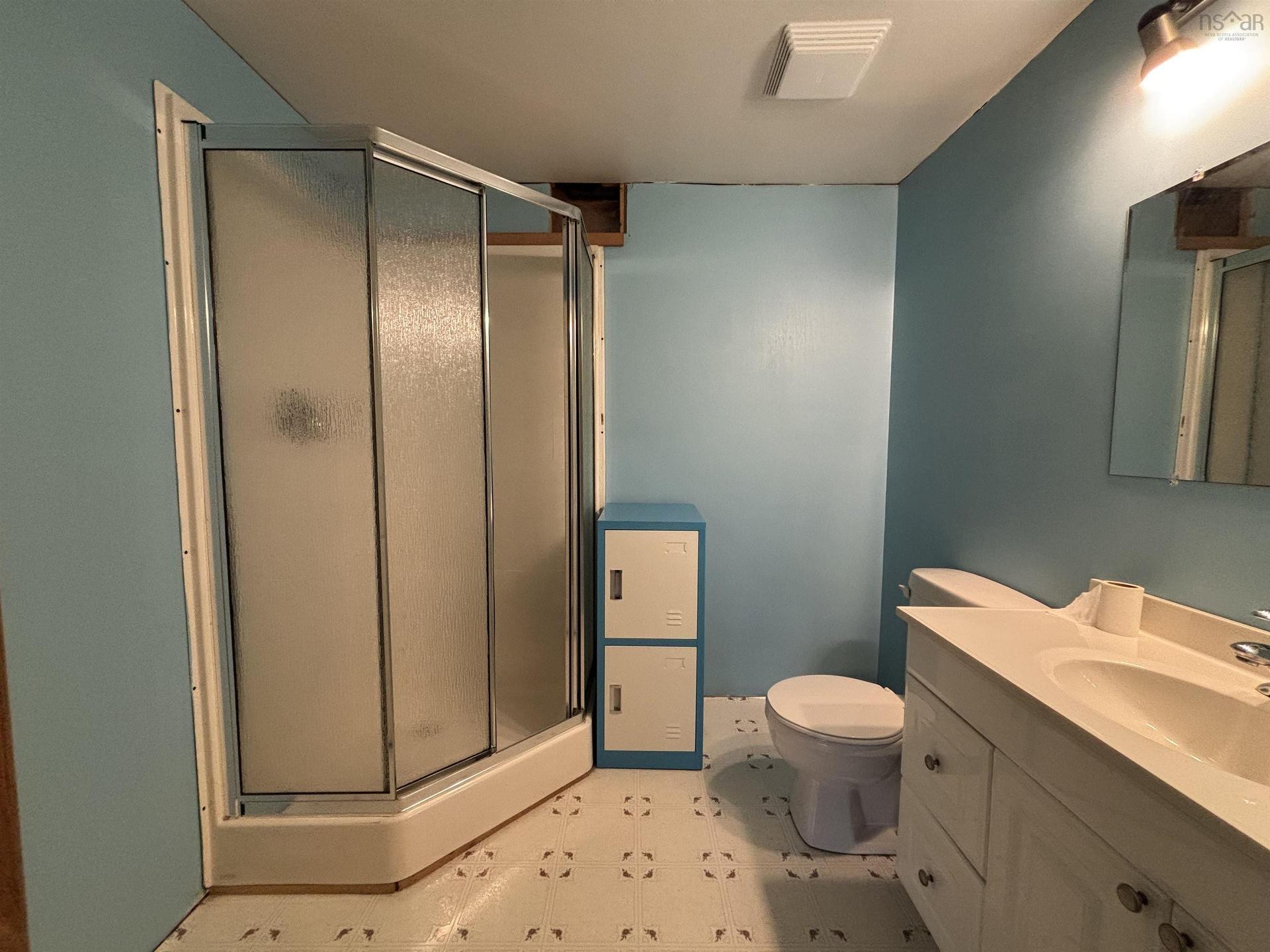 42 Alpine Drive, Bridgewater, NS - Indoor Photo Showing Bathroom