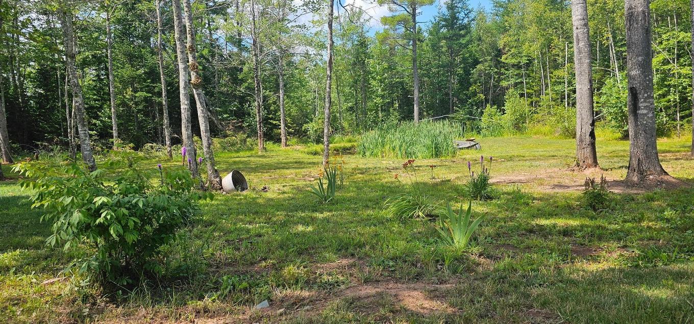 239 Upper River John Road, Waughs River, NS