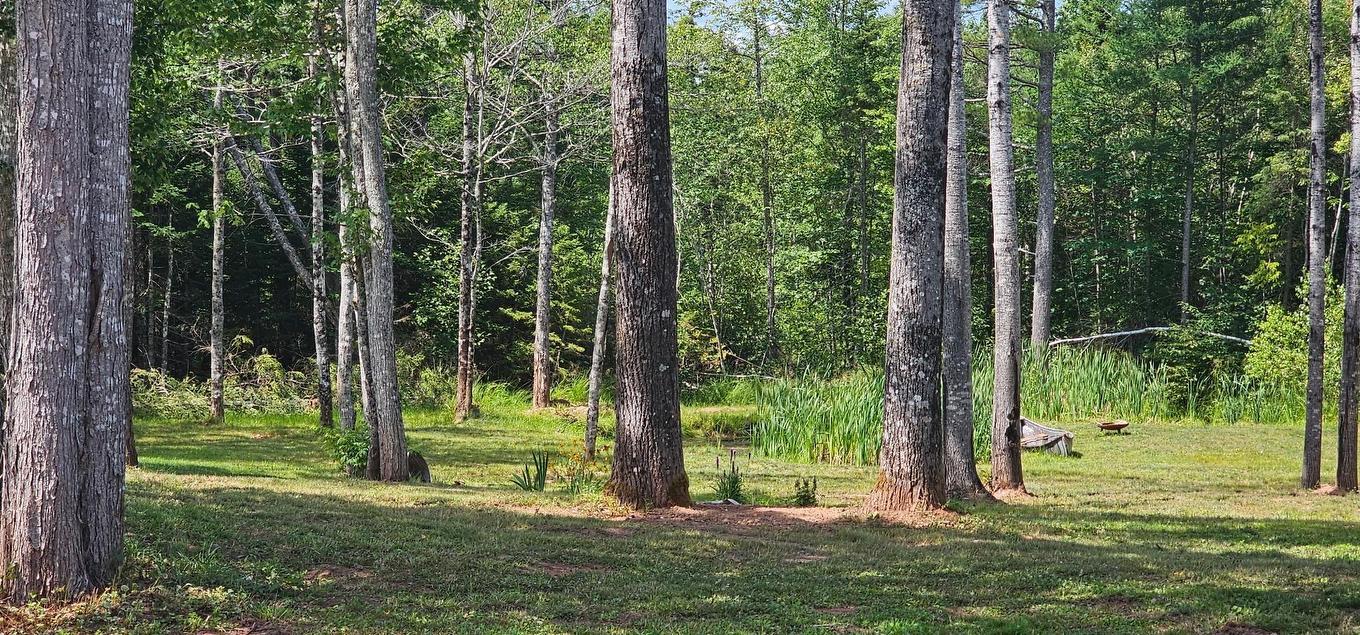 239 Upper River John Road, Waughs River, NS