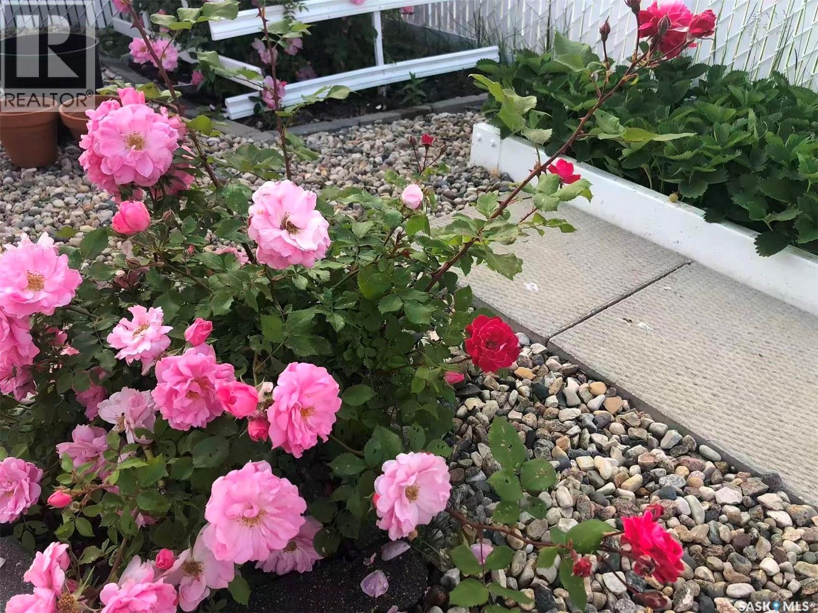 3714 Sandringham Road E, Regina, SK - Outdoor