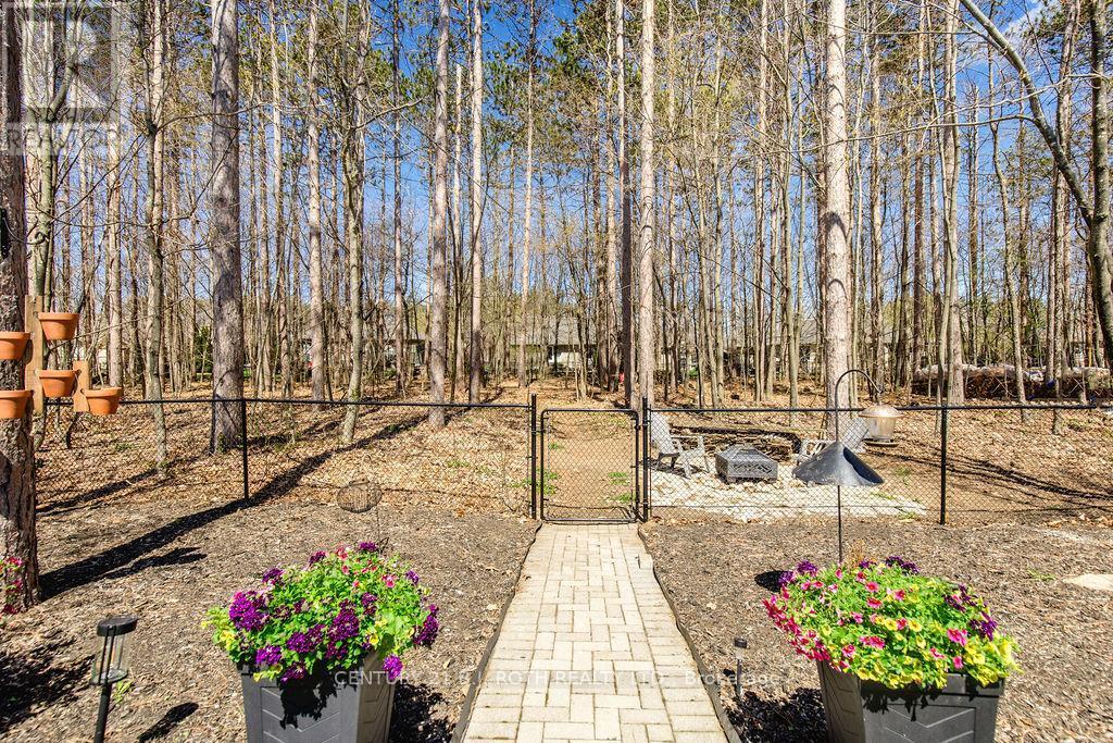 12 Lloyd Cook Drive E, Springwater, ON - Outdoor