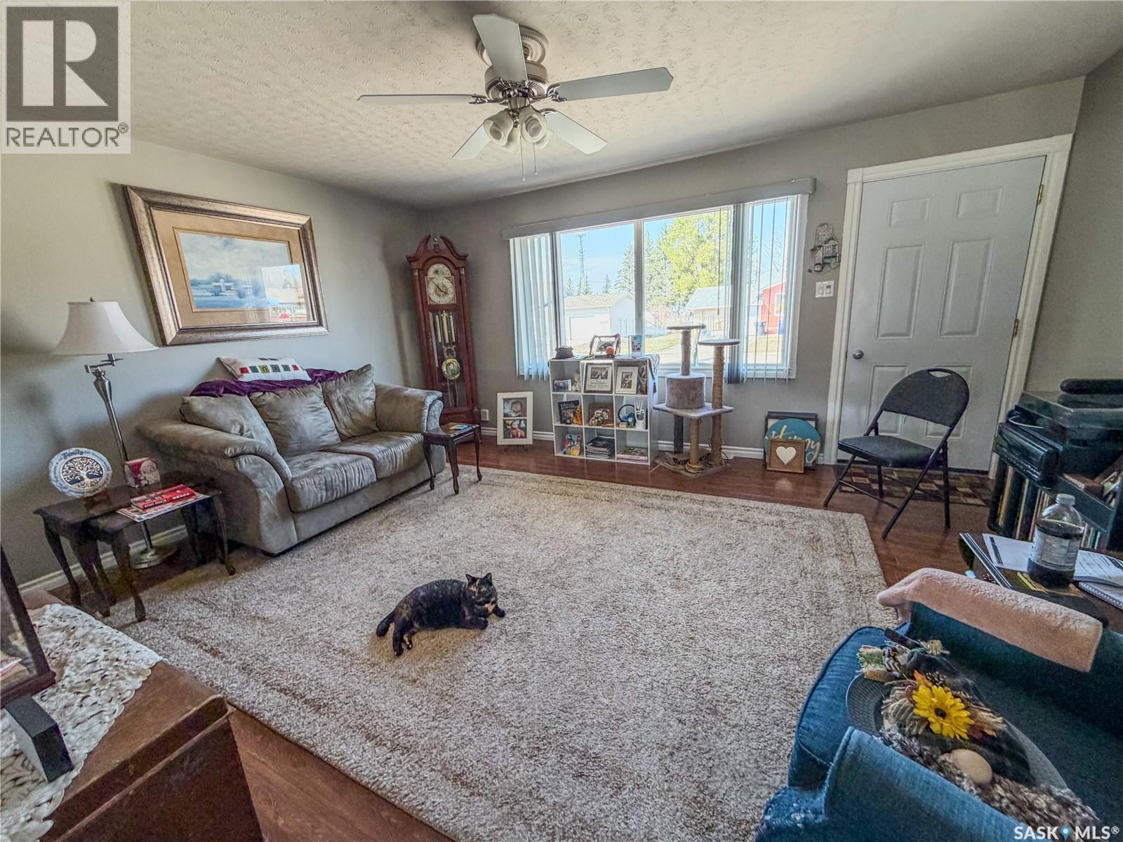 319 March Avenue E, Langenburg, SK - Indoor Photo Showing Living Room