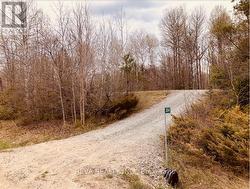 384 MATAWATCHAN ROAD Addington Highlands (Addington Highlands), ON K0H 1K0