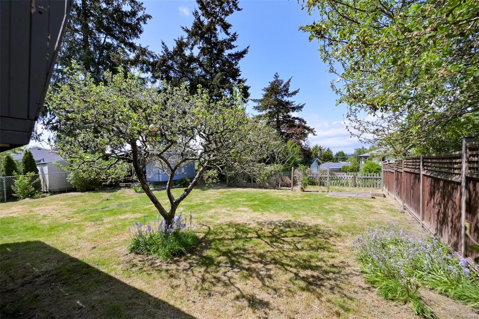 3746 Seaton St, Saanich, BC