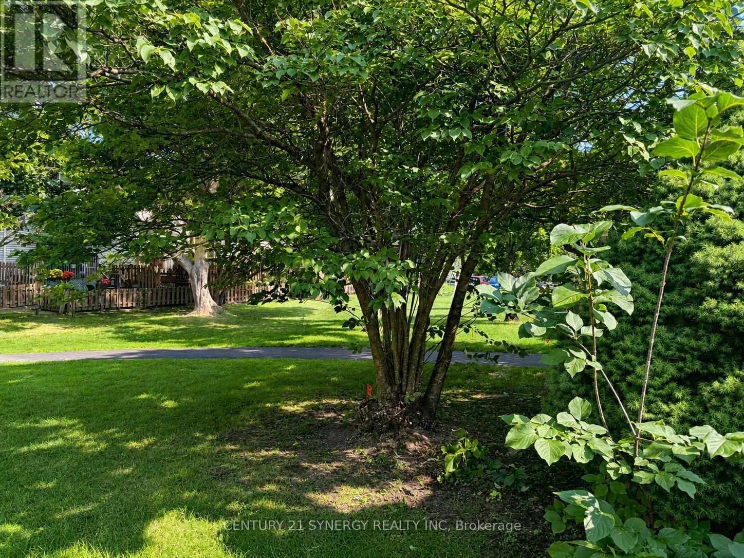 yard - 417 Sandhamn Private, Ottawa, ON - Outdoor