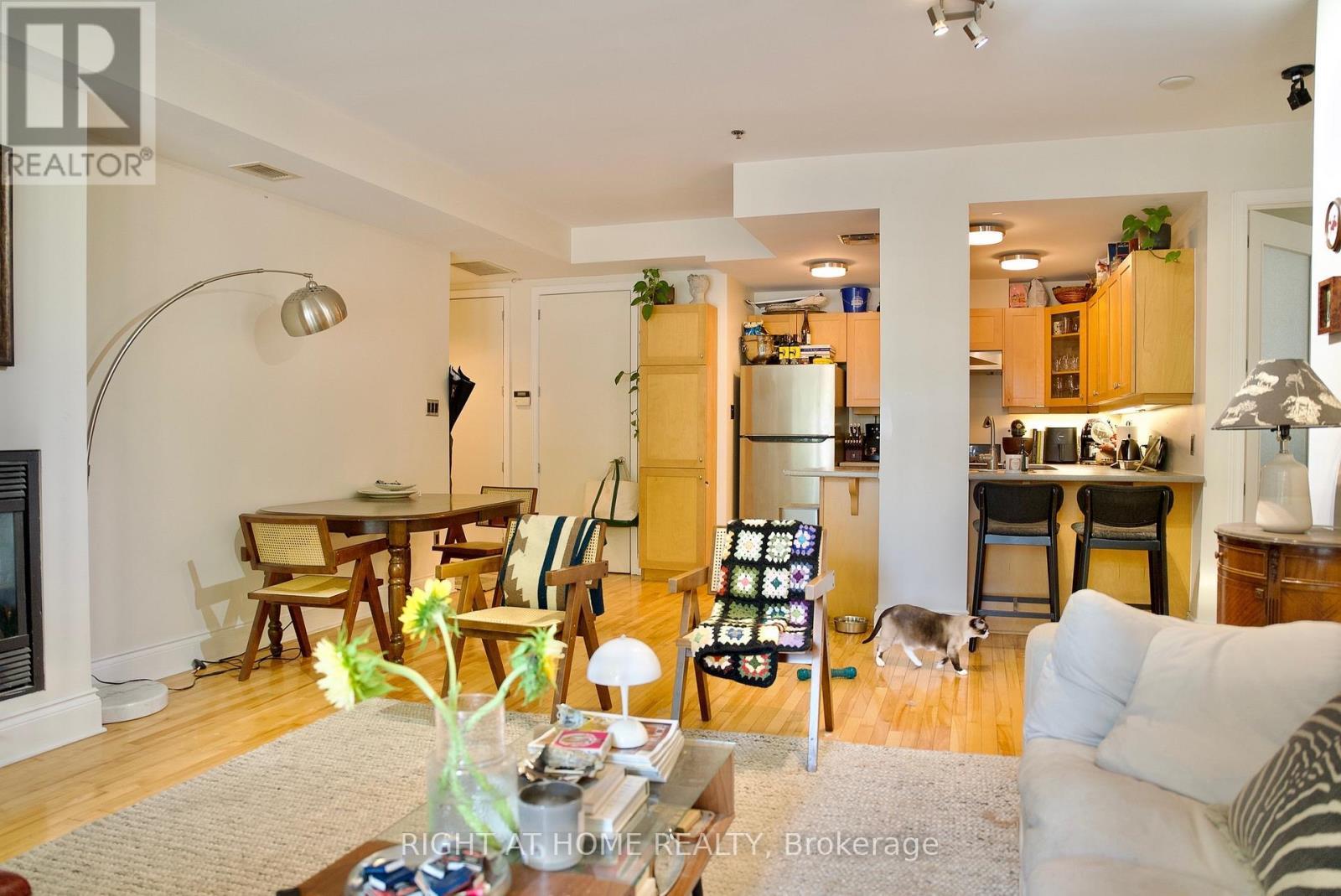 109 - 400 Mcleod Street, Ottawa, ON - Indoor Photo Showing Living Room With Fireplace