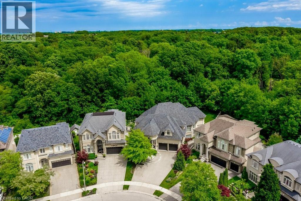 172 Diiorio Circle, Ancaster, ON - Outdoor