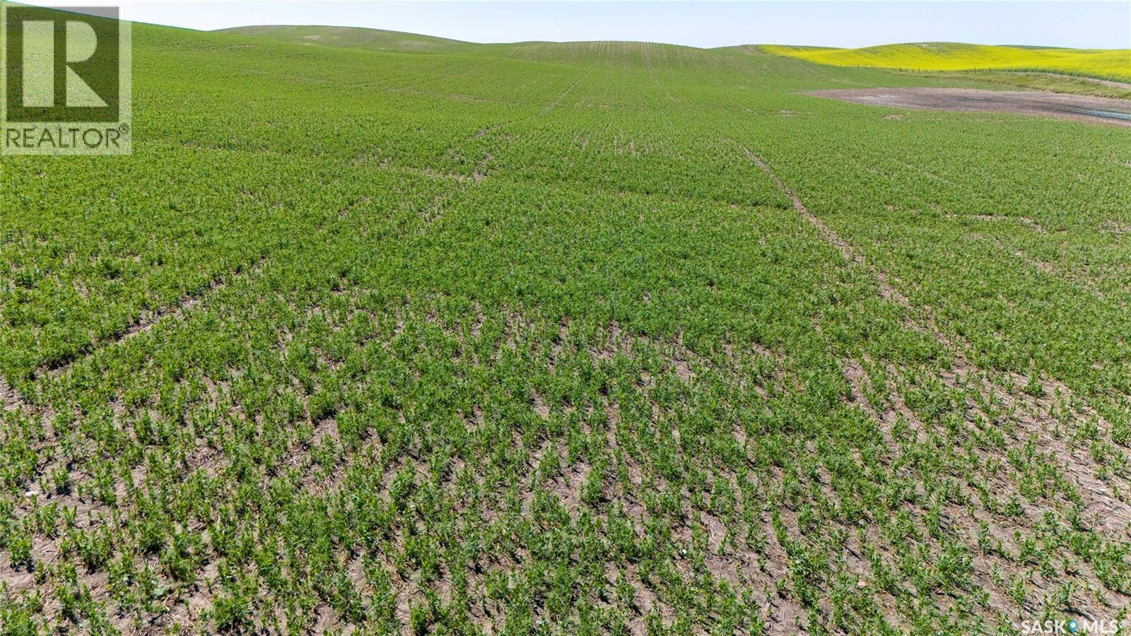 7 Quarters Grainland Near Coderre (Strieb), Sutton Rm No. 103, SK