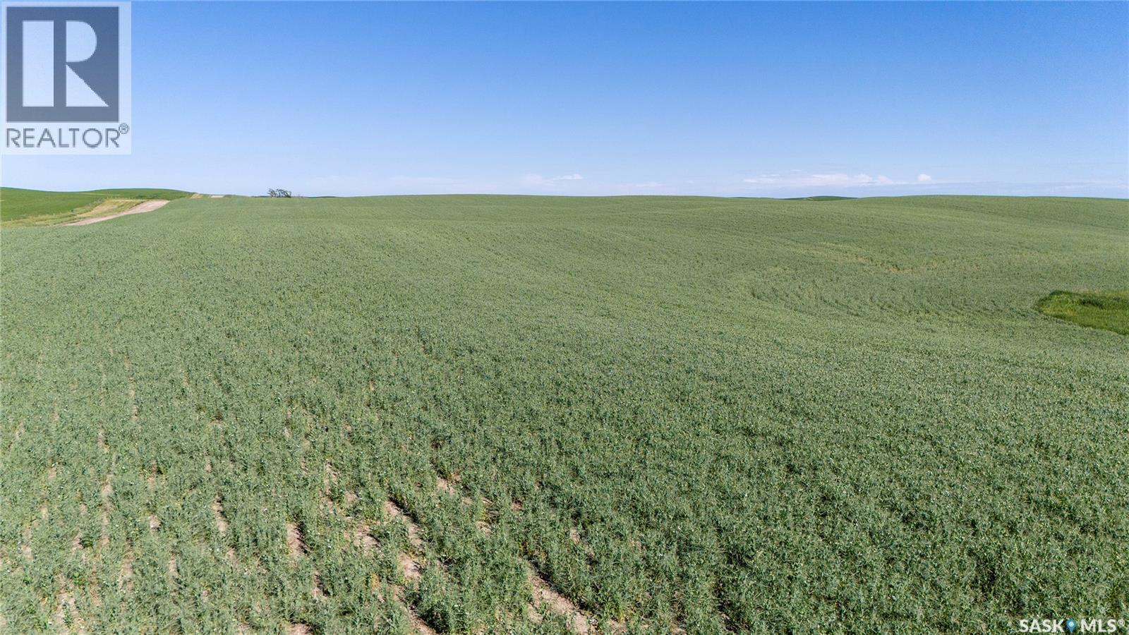7 Quarters Grainland Near Coderre (Strieb), Sutton Rm No. 103, SK