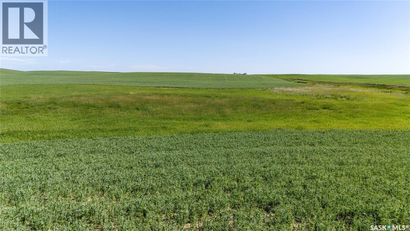 7 Quarters Grainland Near Coderre (Strieb), Sutton Rm No. 103, SK
