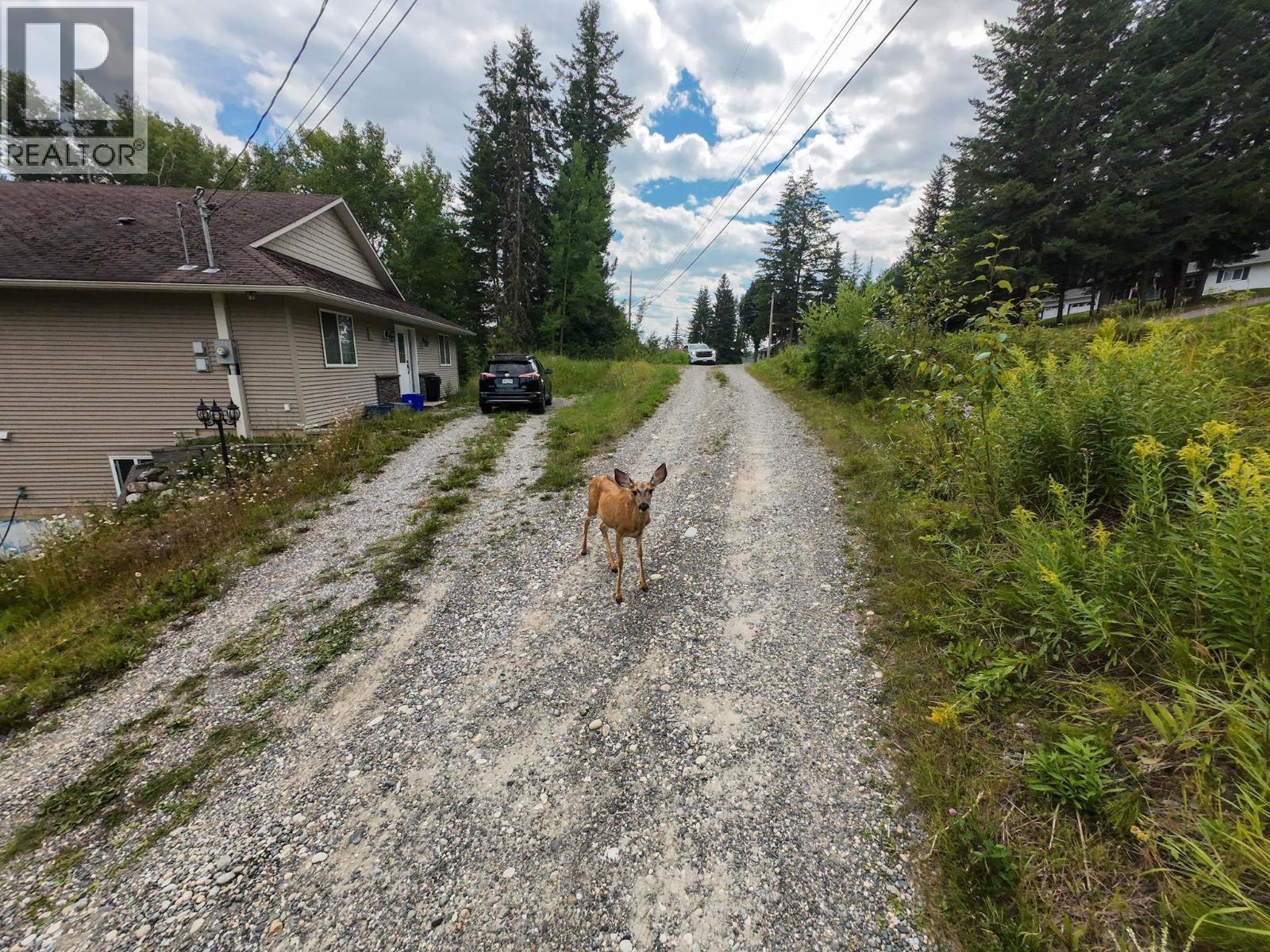 380 Dennis Road, Quesnel, BC - Outdoor