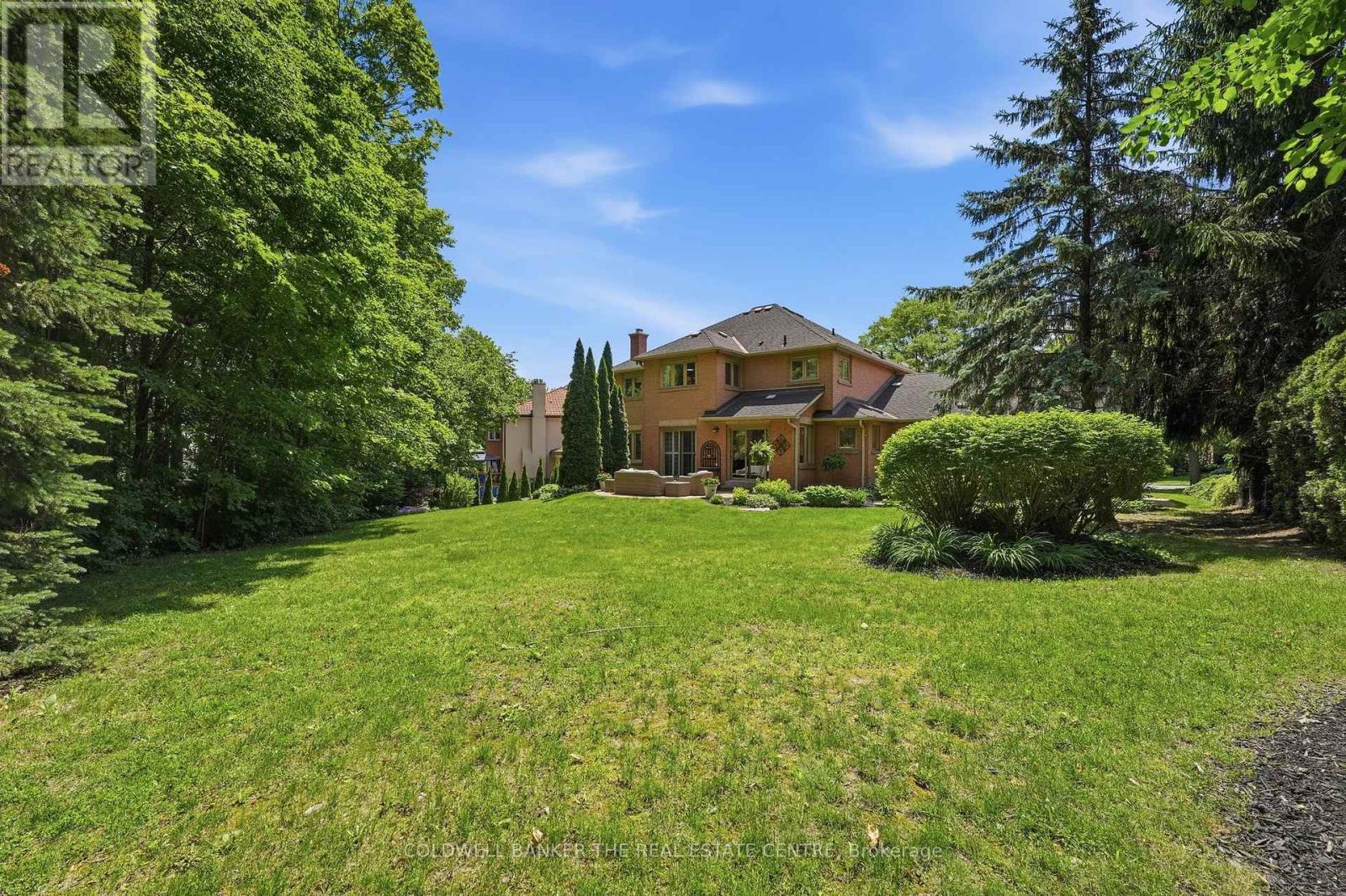 Backyard large treed - 49 Falling Leaf Court, Aurora, ON - Outdoor