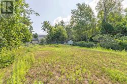 fenced yards - 