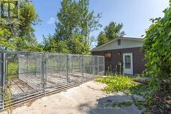 several fenced kennels - 