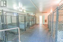 inside Kennel - 