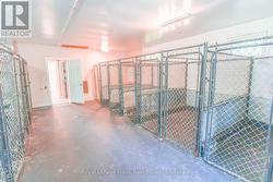 inside kennel - 