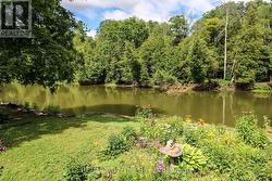 Perirenal Garden with Monarchs and Hummingbirds - 