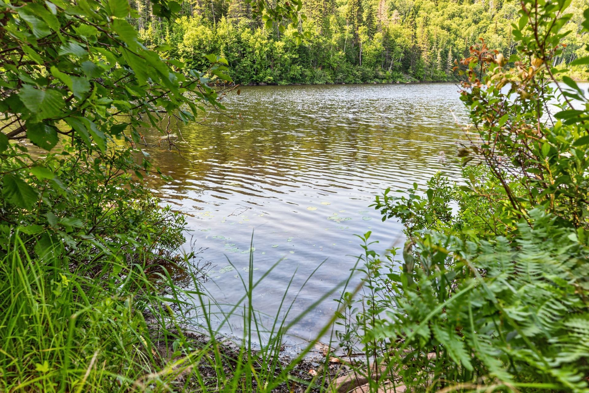 Water view - 3040 Ch. Du Lac-Poisson, Saint-Zénon, QC - Outdoor With Body Of Water