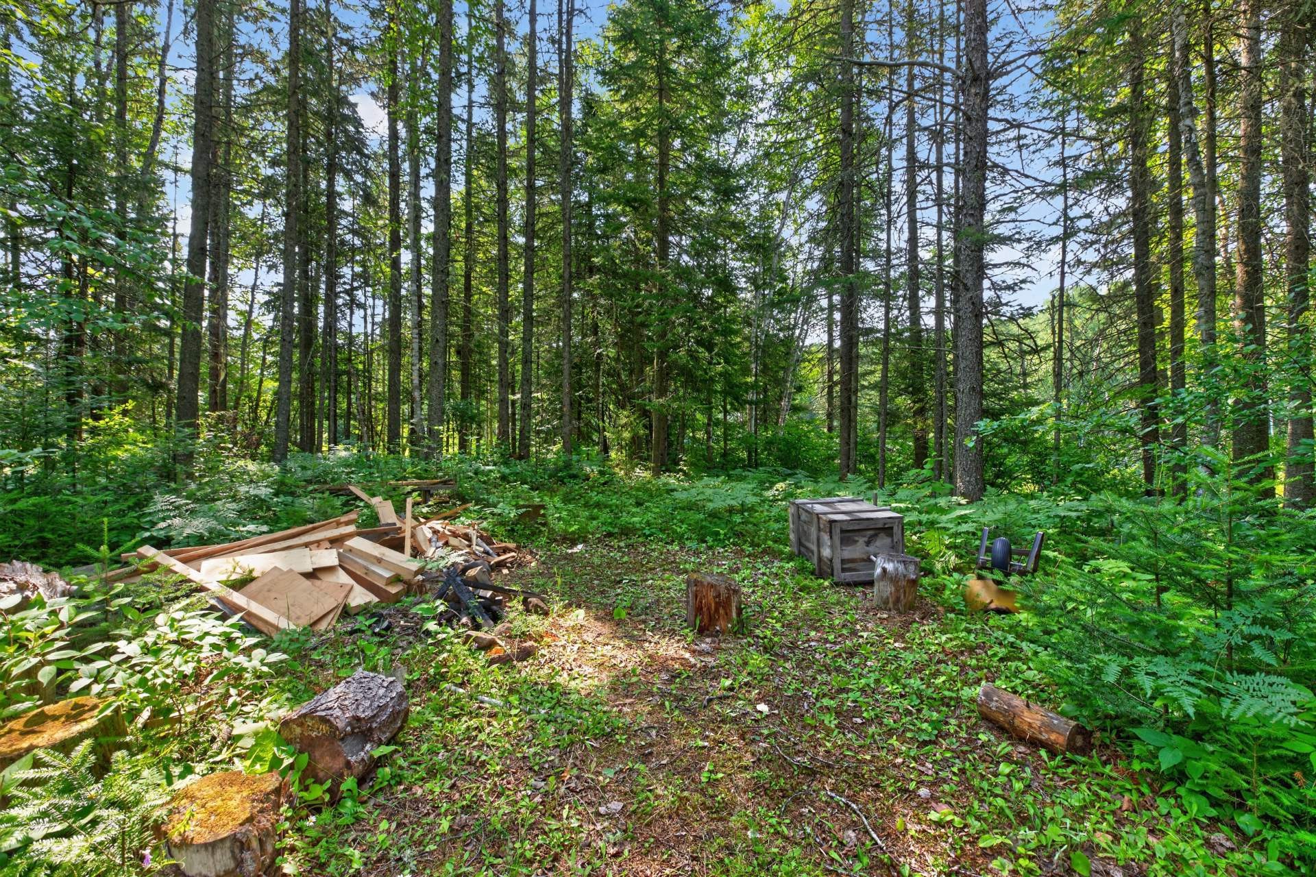 Lot - 3040 Ch. Du Lac-Poisson, Saint-Zénon, QC - Outdoor