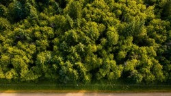 Lot 4 Harbourbrook Rd Quadra Island, BC V0P 1N0