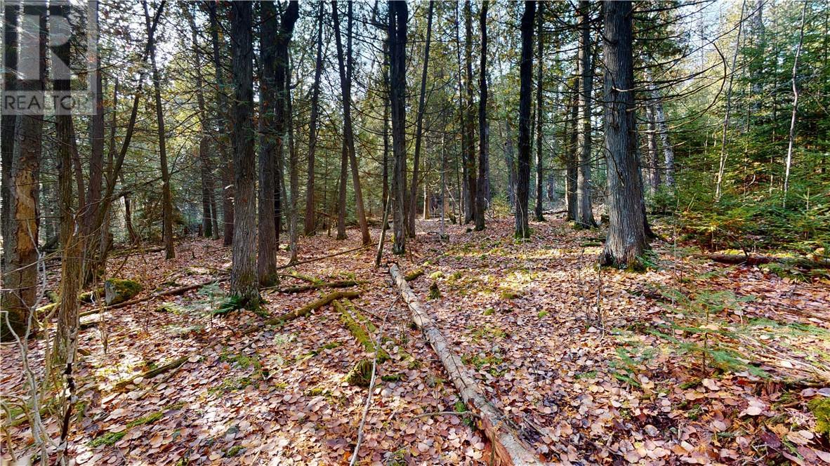 7 Sandy Point, Manitowaning, ON