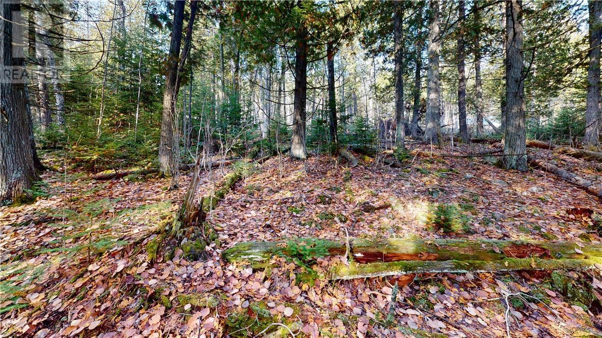 7 Sandy Point, Manitowaning, ON